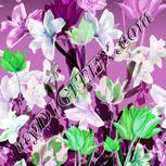 Colour:C