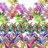 Colour:A