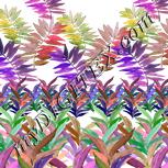 Colour:B