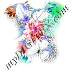 Colour:B