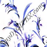 Colour:A