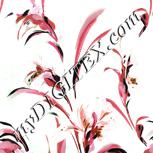 Colour:C