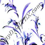 Colour:D