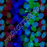 Colour:F
