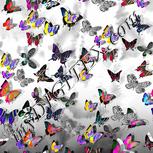 Colour:A