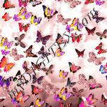 Colour:J