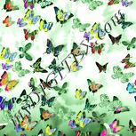 Colour:K