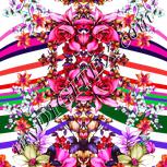 Colour:B