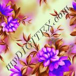 Colour:D