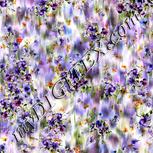 Colour:A