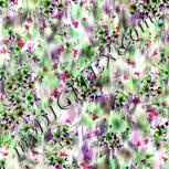 Colour:B