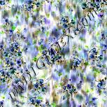 Colour:D