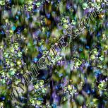 Colour:F