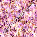 Colour:J