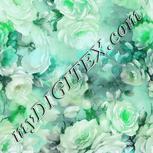 Colour:C