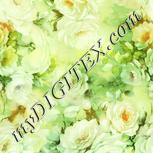 Colour:K