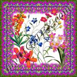 Colour:A