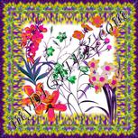 Colour:B