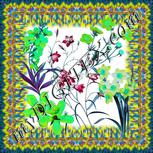 Colour:C
