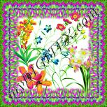 Colour:K