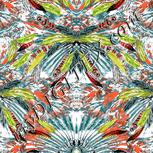 Colour:A