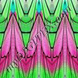 Colour:B