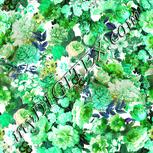 Colour:C