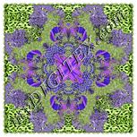 Colour:D