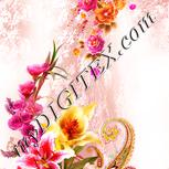 Colour:J