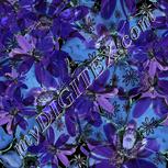 Colour:F