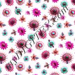 Colour:B
