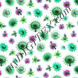 Colour:C