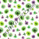 Colour:D