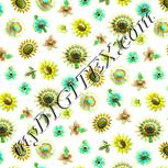 Colour:K