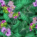 Colour:A