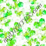 Colour:D