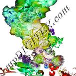 Colour:B