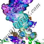 Colour:D