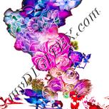 Colour:J