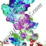 Colour:K