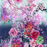 Colour:B