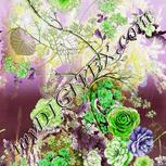 Colour:D