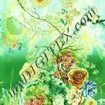 Colour:K