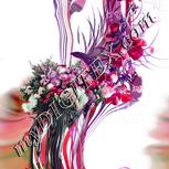 Colour:B