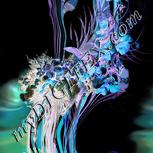 Colour:F