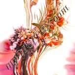 Colour:J