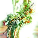 Colour:K