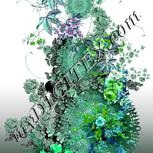 Colour:C
