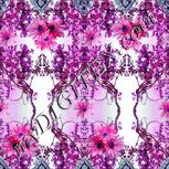 Colour:B