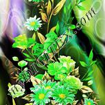Colour:D